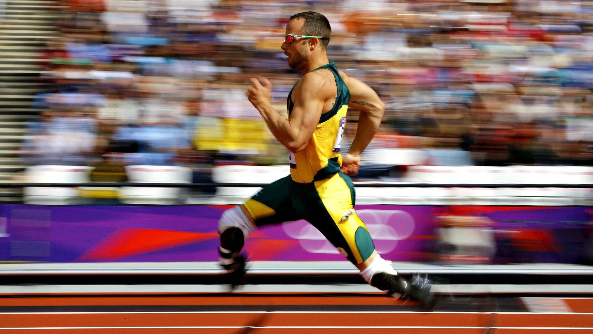 世界杯申办城市递交最终文件 多国提出联合申办方案